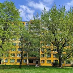 Żółty blok mieszkalny otoczony zielenią. Czy to wspólnota mieszkaniowa a spółdzielnia?