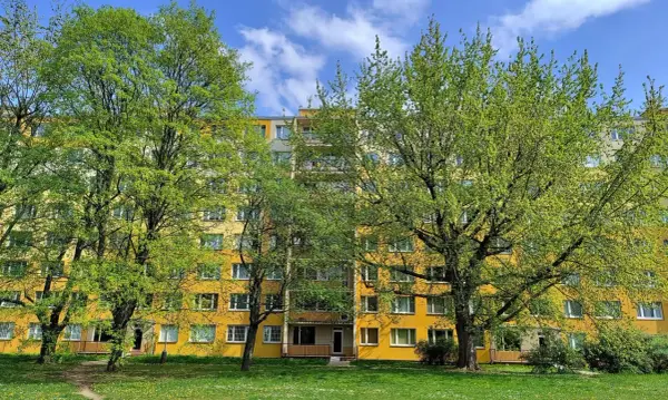 Wspólnota czy spółdzielnia? Kluczowe różnice i Twój wybór